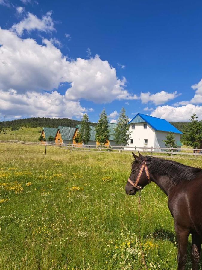 Vule Bungalovi Žabljak Eksteriør billede
