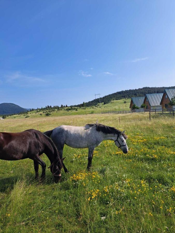 Vule Bungalovi Žabljak Eksteriør billede